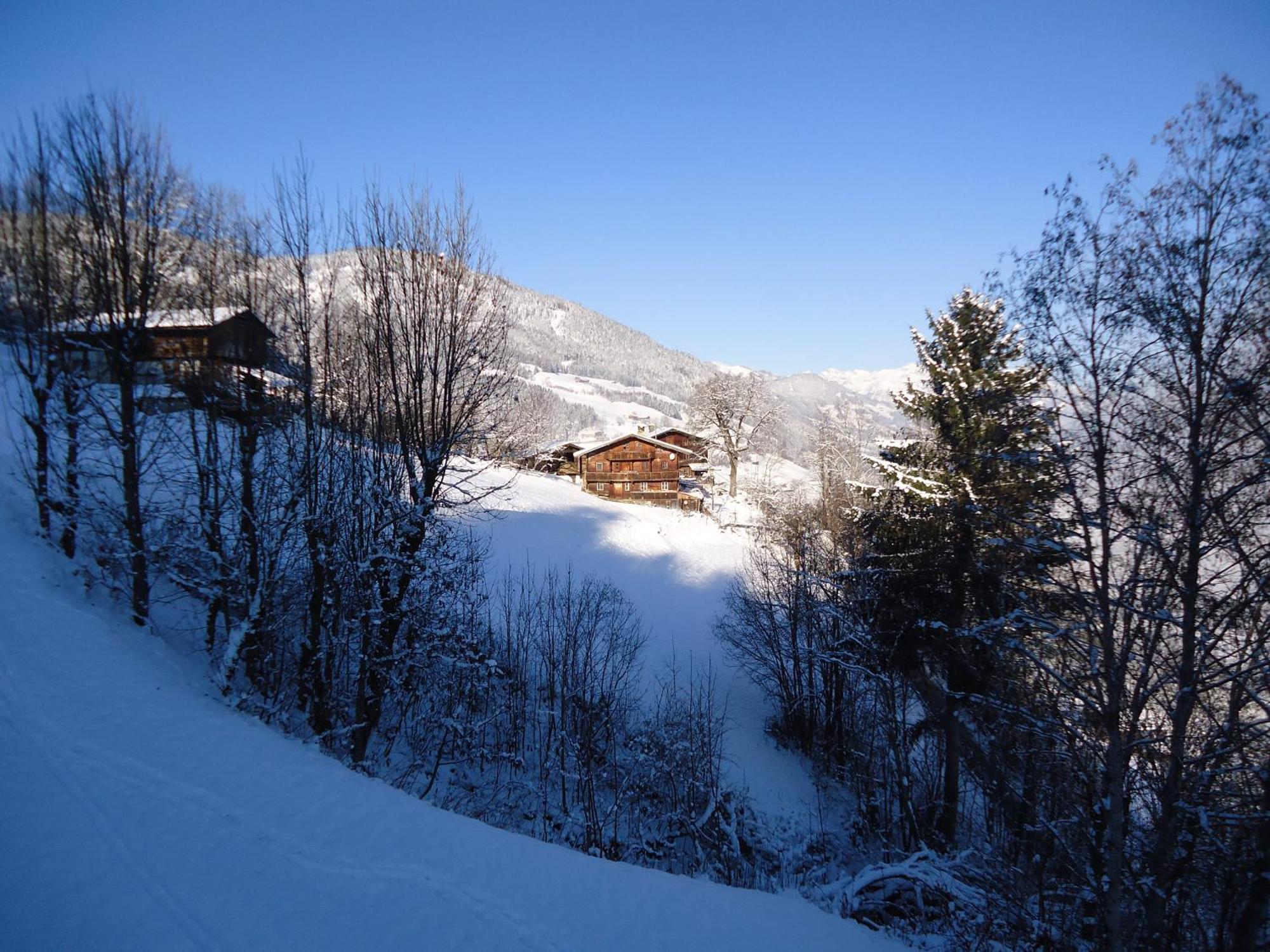 Apart Bianca Zillertal Kaltenbach Exteriér fotografie